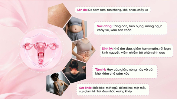 Giải pháp hỗ trợ cải thiện tình trạng suy giảm nội tiết tố ở phụ nữ tiền mãn kinh & mãn kinh- Ảnh 1.