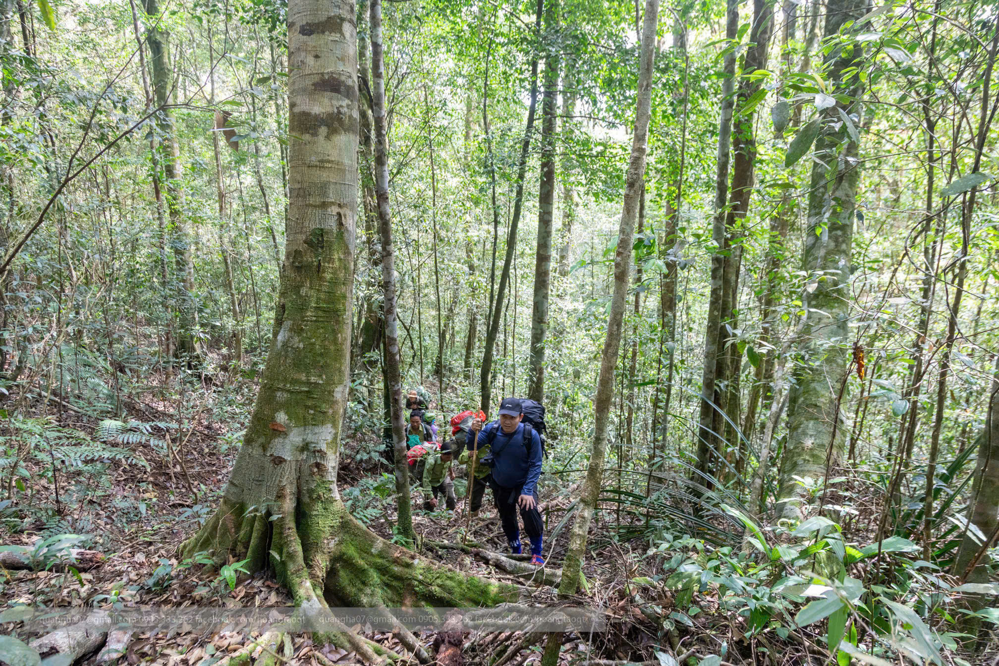 Lộ diện Diệp hạ châu Việt Nam tại Khu Dự trữ thiên nhiên ở Huế- Ảnh 6.
