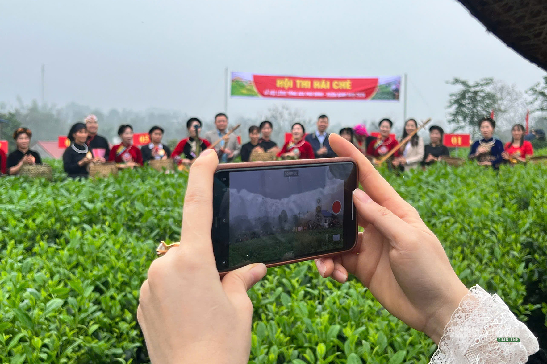 Vui hái chè dưới tiếng đàn Tính giữa đất trời ATK- Ảnh 3.