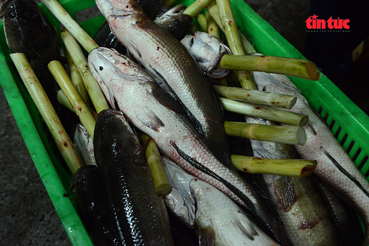 TP Hồ Chí Minh: Phố cá lóc thâu đêm đỏ lửa phục vụ ngày vía Thần Tài- Ảnh 4.