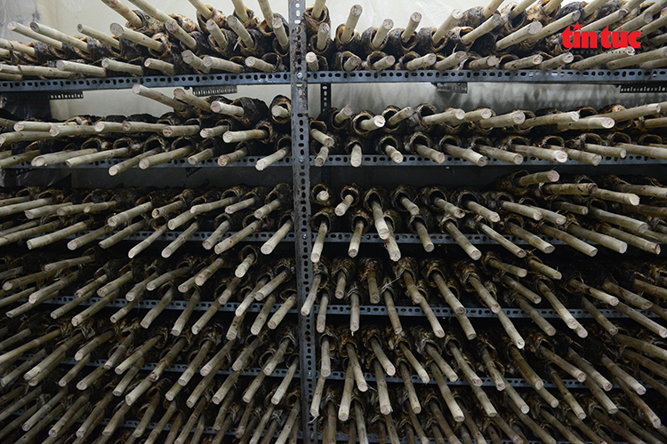 TP Hồ Chí Minh: Phố cá lóc thâu đêm đỏ lửa phục vụ ngày vía Thần Tài- Ảnh 11.