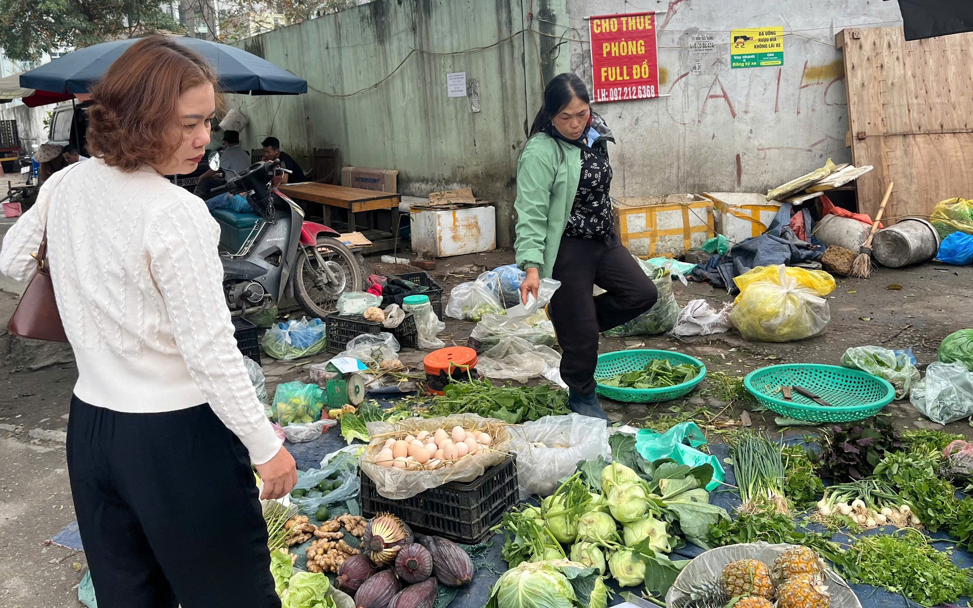 Hết Tết, đào đồng loạt 'lên sàn' thanh lý, nhà vườn tất bật thu mua- Ảnh 5. Hết Tết, đào đồng loạt 'lên sàn' thanh lý, nhà vườn tất bật thu mua- Ảnh 5.