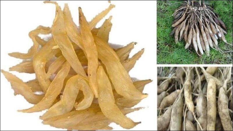 7 món cháo thuốc tốt cho người bệnh cúm- Ảnh 2.