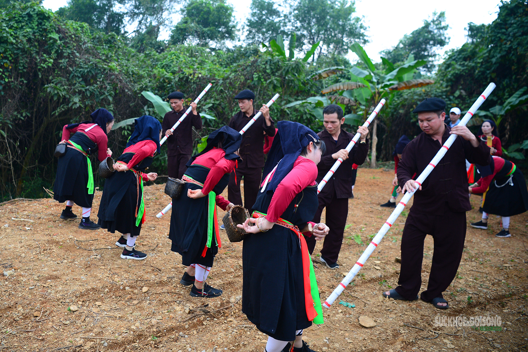 Gieo hạt mùa xuân giữa lòng Hà Nội- Ảnh 1.