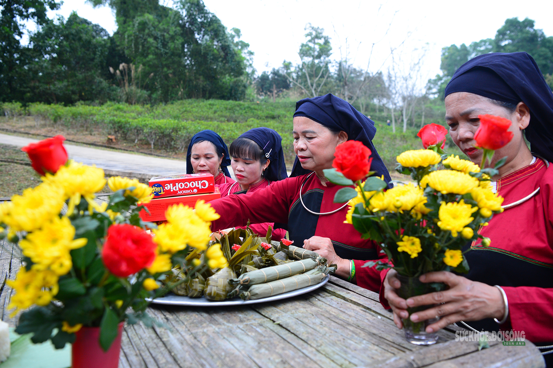 Gieo hạt mùa xuân giữa lòng Hà Nội- Ảnh 3.