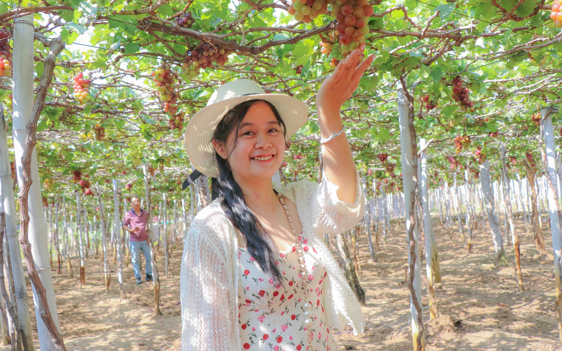 Hoa, cây cảnh tràn ngập trên các tuyến phố ở Thanh Hóa- Ảnh 8.