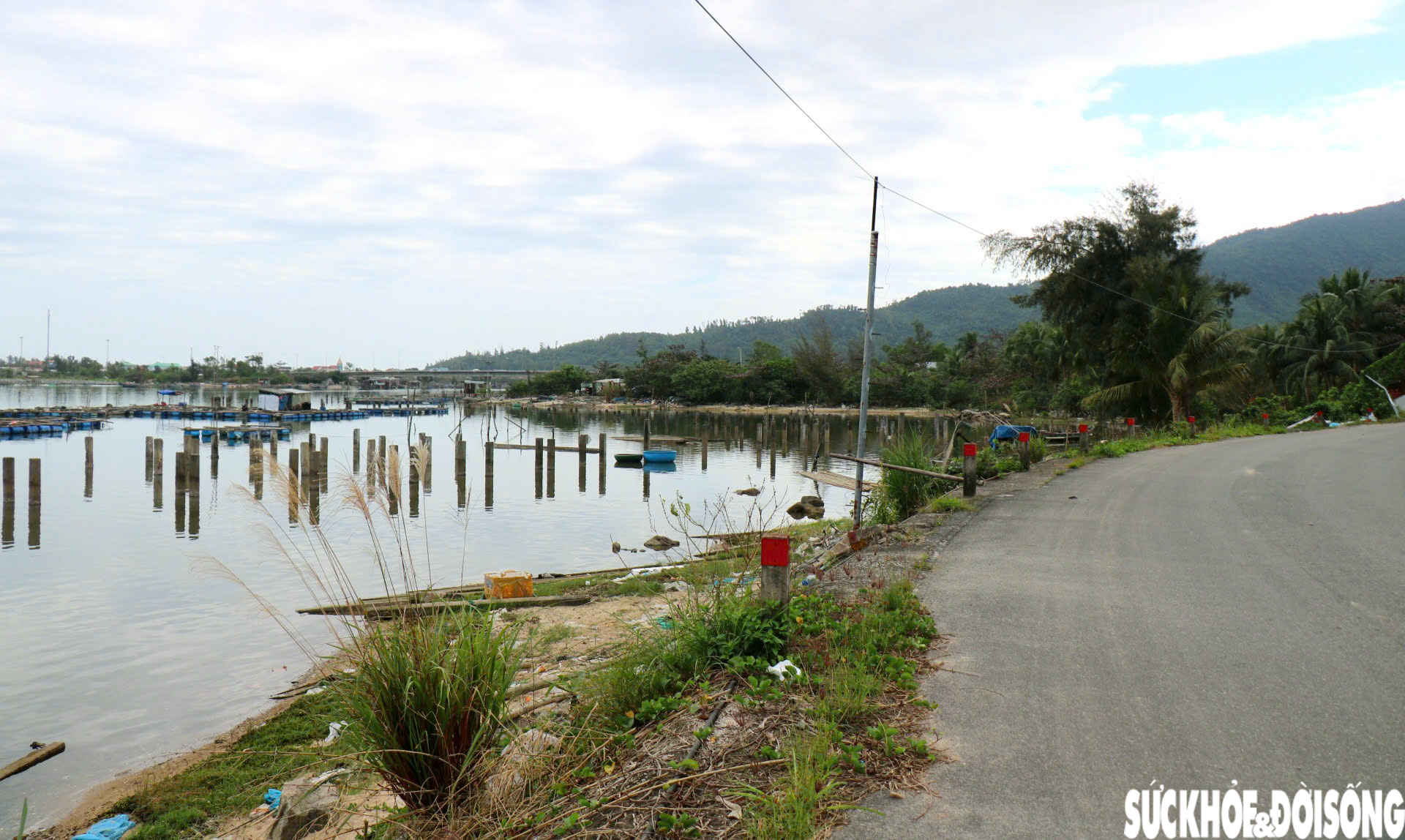 'Ma trận' cọc bê tông giữa 'tuyệt tình cốc' xứ Huế- Ảnh 8.