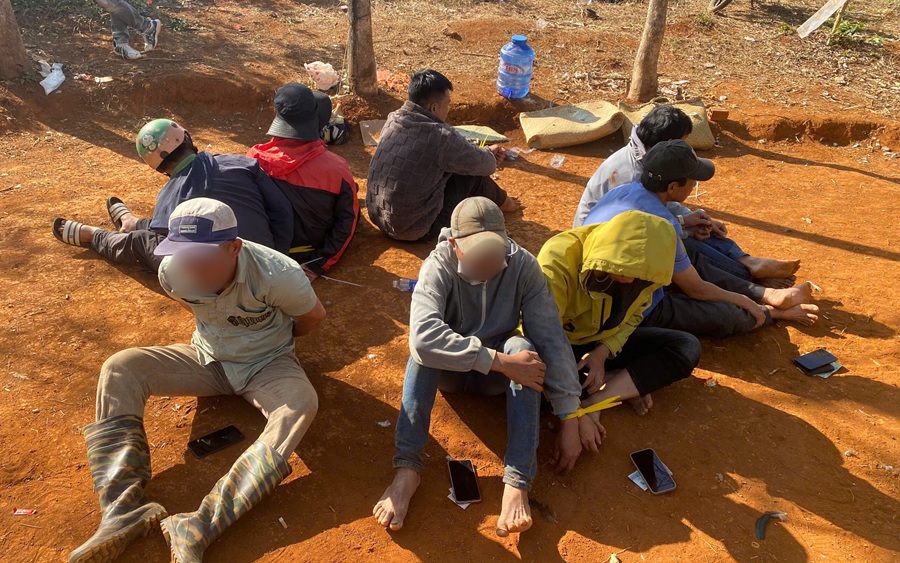 Triệt phá sới đá gà trong vườn cao su ở tỉnh Lâm Đồng