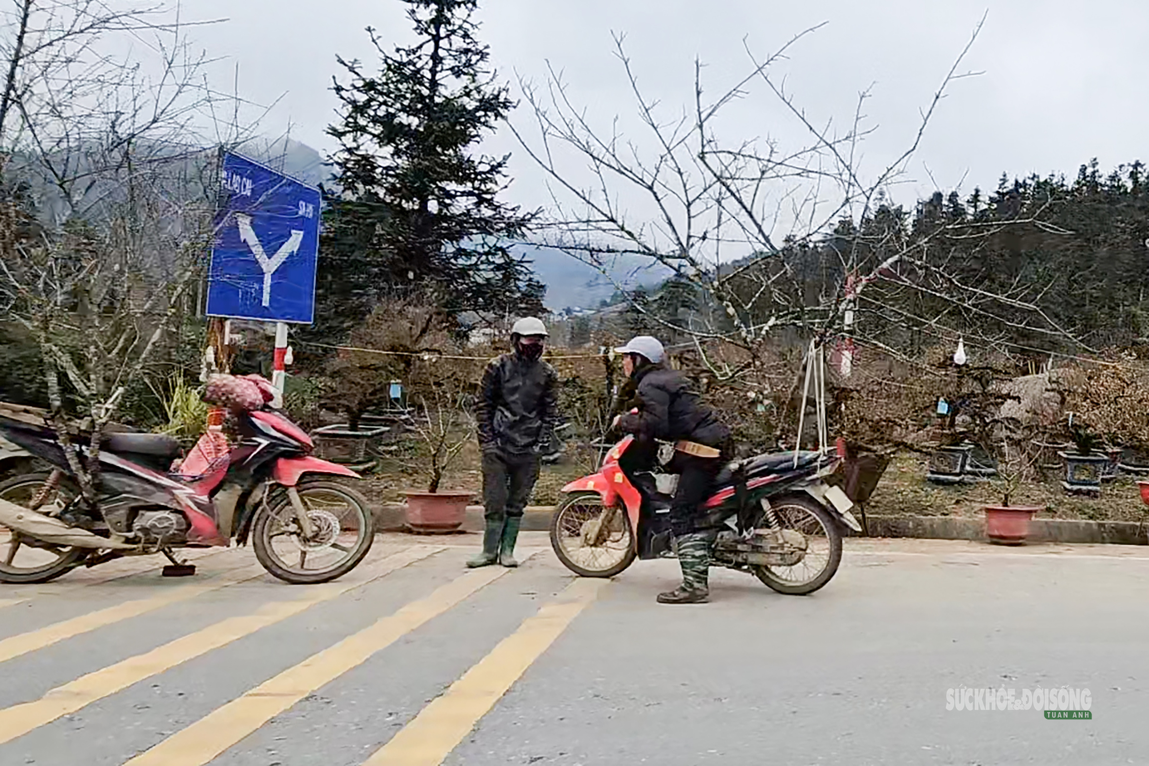 Nhịp xuân trên chợ đào đá Sa Pa- Ảnh 5. Nhịp xuân trên chợ đào đá Sa Pa- Ảnh 5.