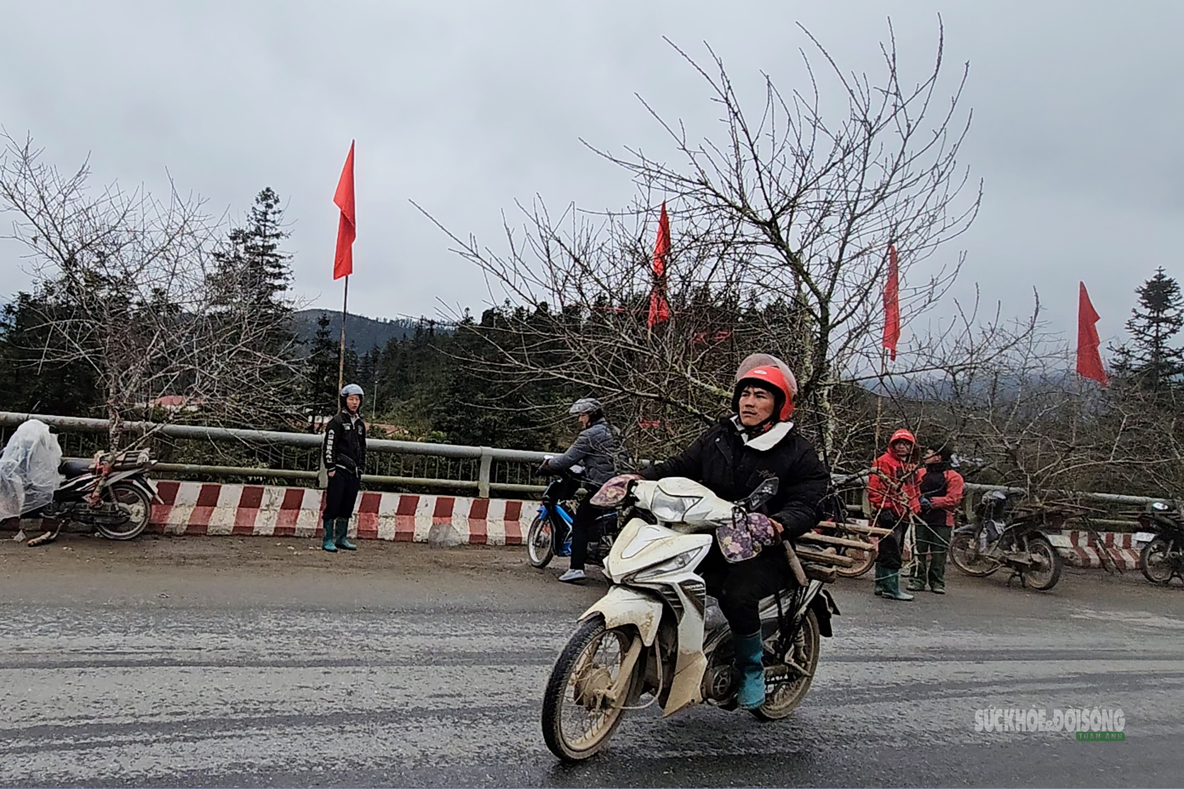 Nhịp xuân trên chợ đào đá Sa Pa- Ảnh 11. Nhịp xuân trên chợ đào đá Sa Pa- Ảnh 11.