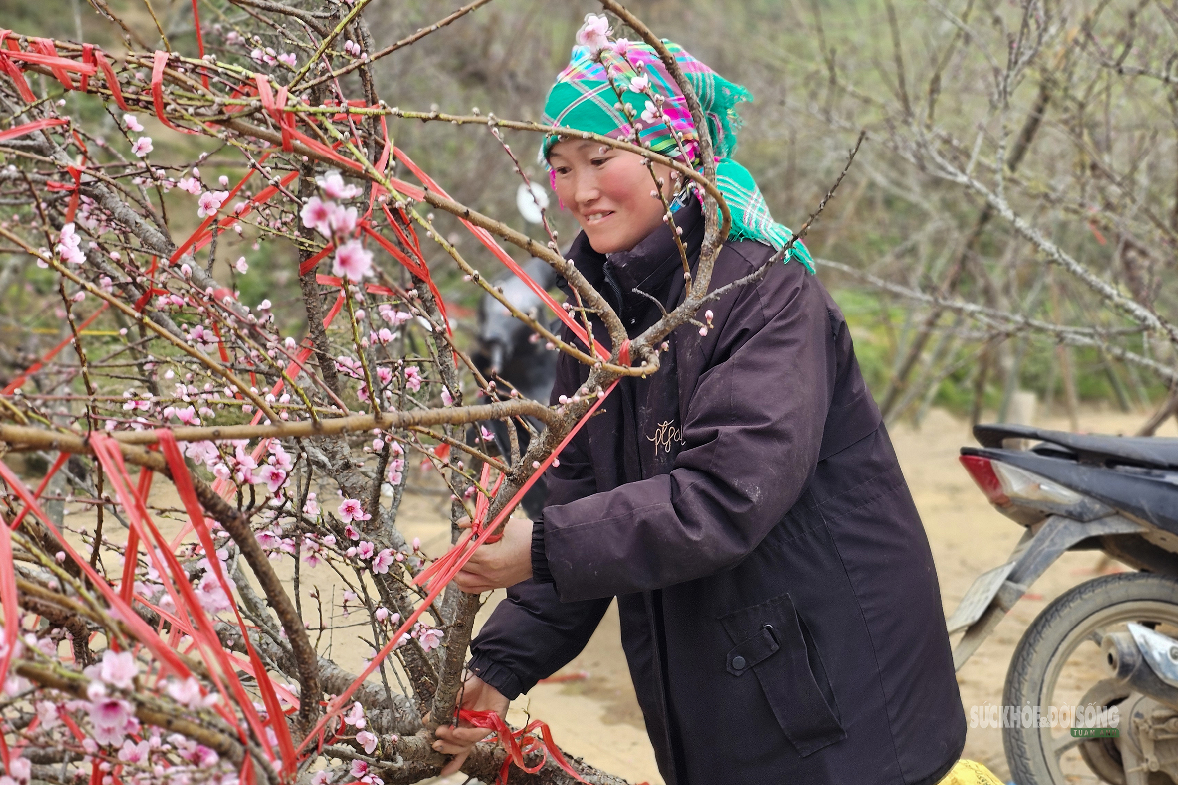 Nhịp xuân trên chợ đào đá Sa Pa- Ảnh 7. Nhịp xuân trên chợ đào đá Sa Pa- Ảnh 7.