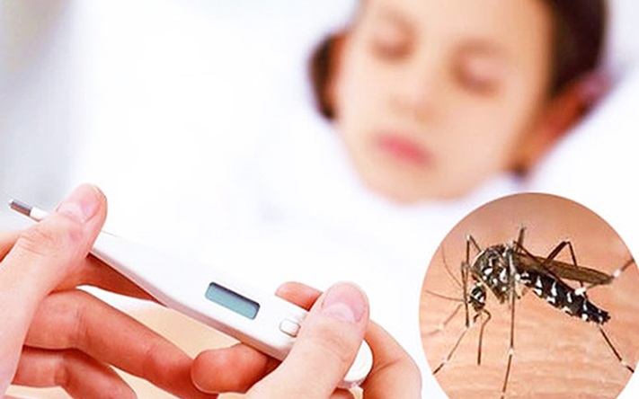 Nguy cơ dịch sốt xuất huyết gia tăng, Lâm Đồng yêu cầu tăng cường giám sát dịch- Ảnh 2. Dịch sốt xuất huyết gia tăng, ngành y tế Lâm Đồng siết chặt phòng, chống dịch