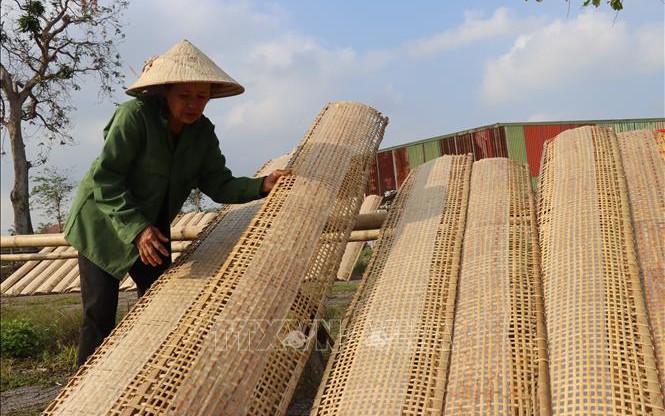 Nơi hội tụ các loài hoa và nghề truyền thống đón khách du xuân- Ảnh 12.