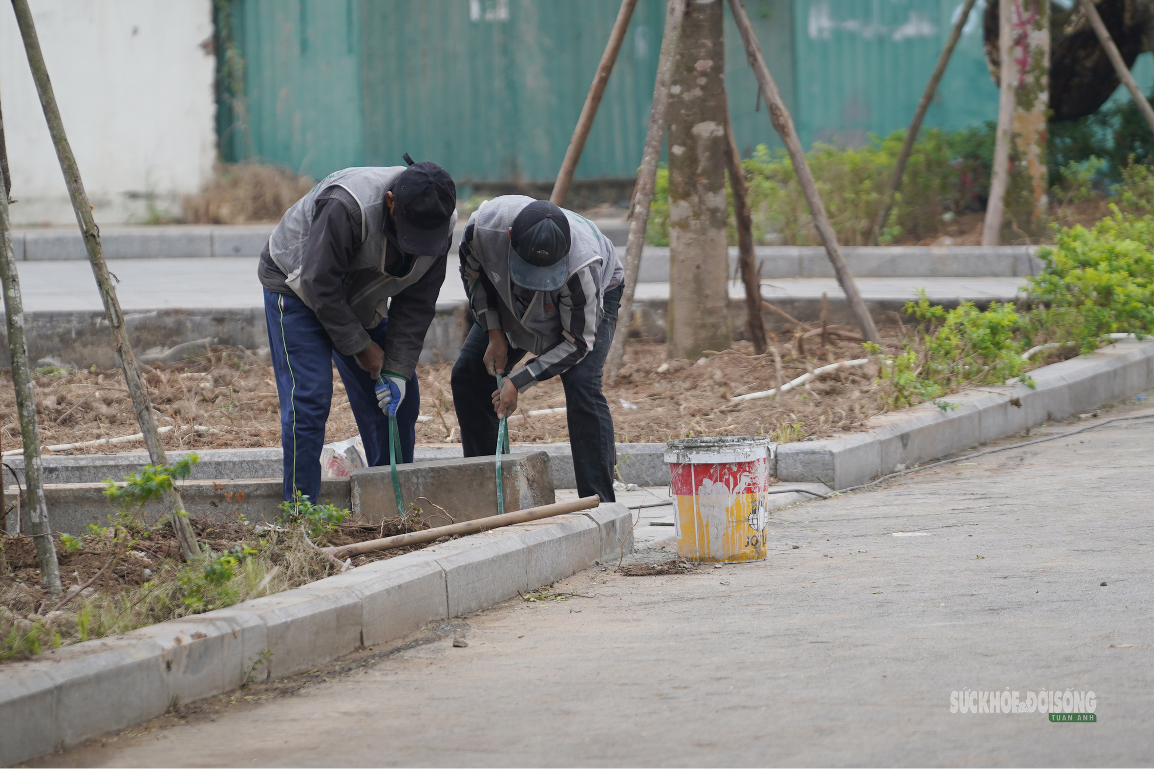 'Thay áo mới' cho công viên hồ điều hòa Mai Dịch dịp cận Tết- Ảnh 9.