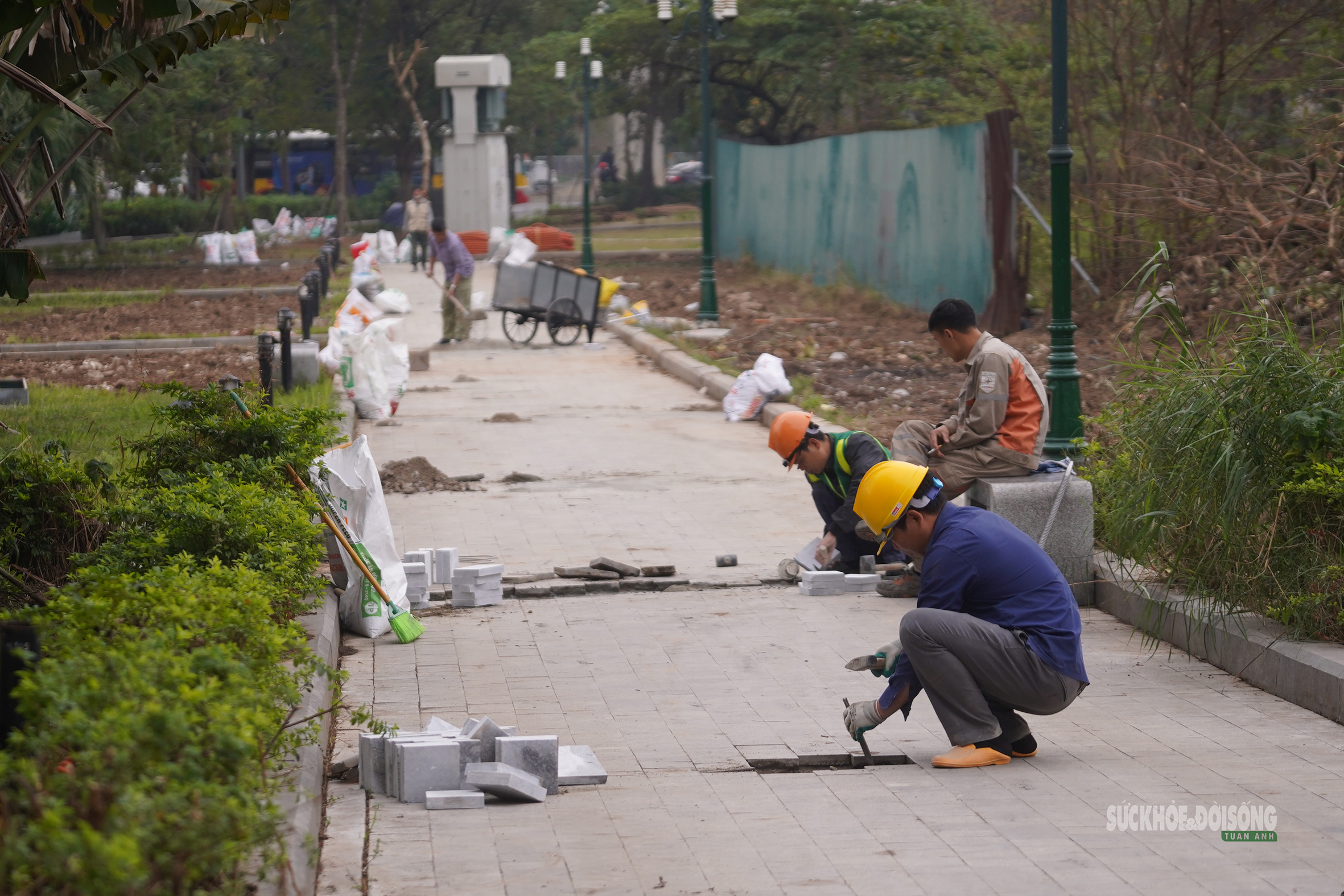 'Thay áo mới' cho công viên hồ điều hòa Mai Dịch dịp cận Tết- Ảnh 4.