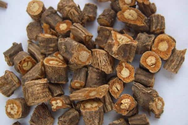 7 vị thuốc giúp giảm đau cơ hiệu quả trong mùa lạnh- Ảnh 2.