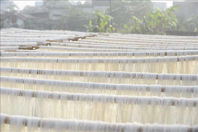 Các làng nghề rộn ràng vào vụ Tết- Ảnh 4.