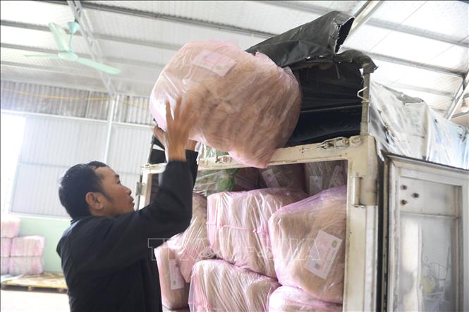 Các làng nghề rộn ràng vào vụ Tết- Ảnh 6.