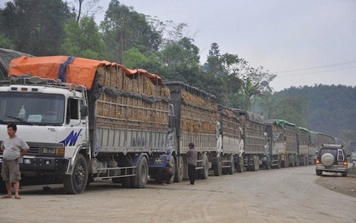 Dừng Nghị định số 46 về an toàn thực phẩm đến hết ngày 15/4/2026- Ảnh 2.