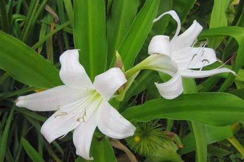 Các biện pháp phòng ngừa u xơ tử cung bạn cần biết- Ảnh 2.