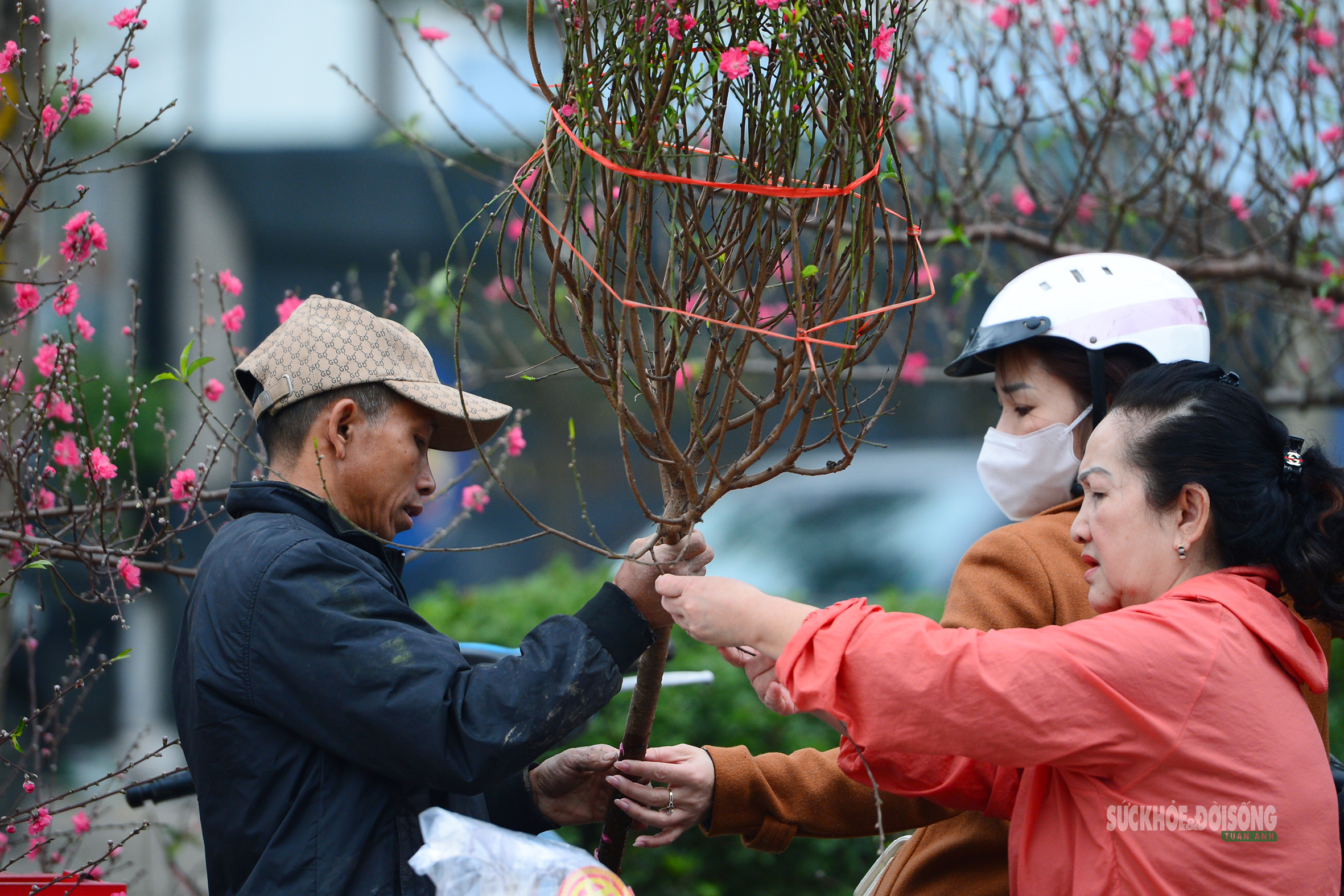Hoa Tết rực rỡ sắc xuân, người Hà Nội rục rịch sắm Tết- Ảnh 3.