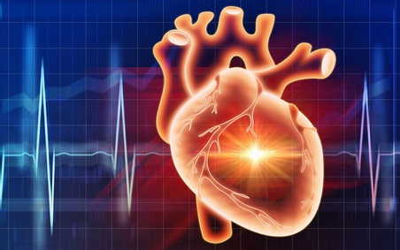 Rối loạn cương dương: 5 cách tự nhiên giúp nam giới cải thiện 'bản lĩnh'- Ảnh 2.