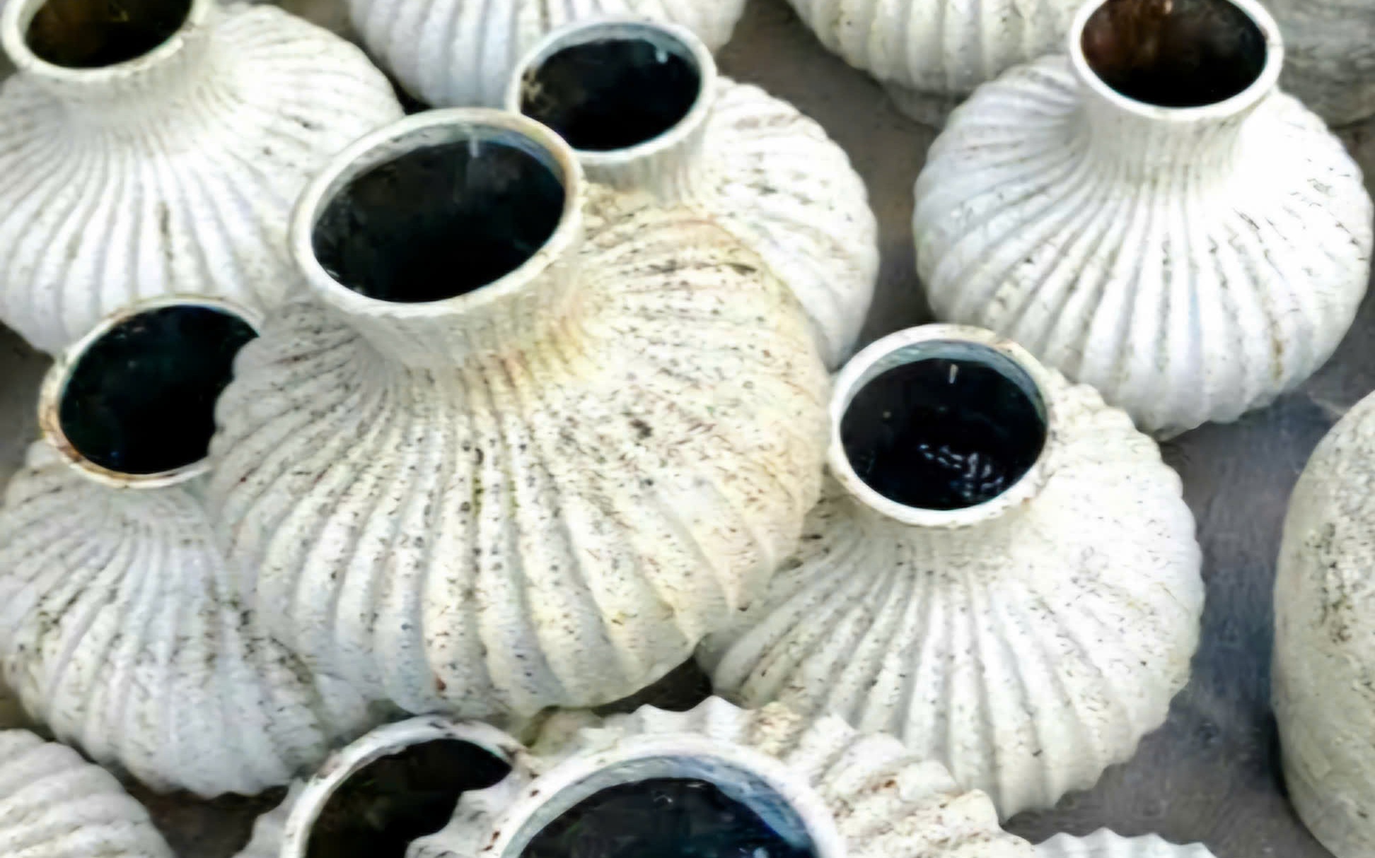 Vì sao dứa cảnh mini giá nửa triệu một bó vẫn được săn tìm?- Ảnh 8. Vì sao dứa cảnh mini giá nửa triệu một bó vẫn được săn tìm?- Ảnh 8.