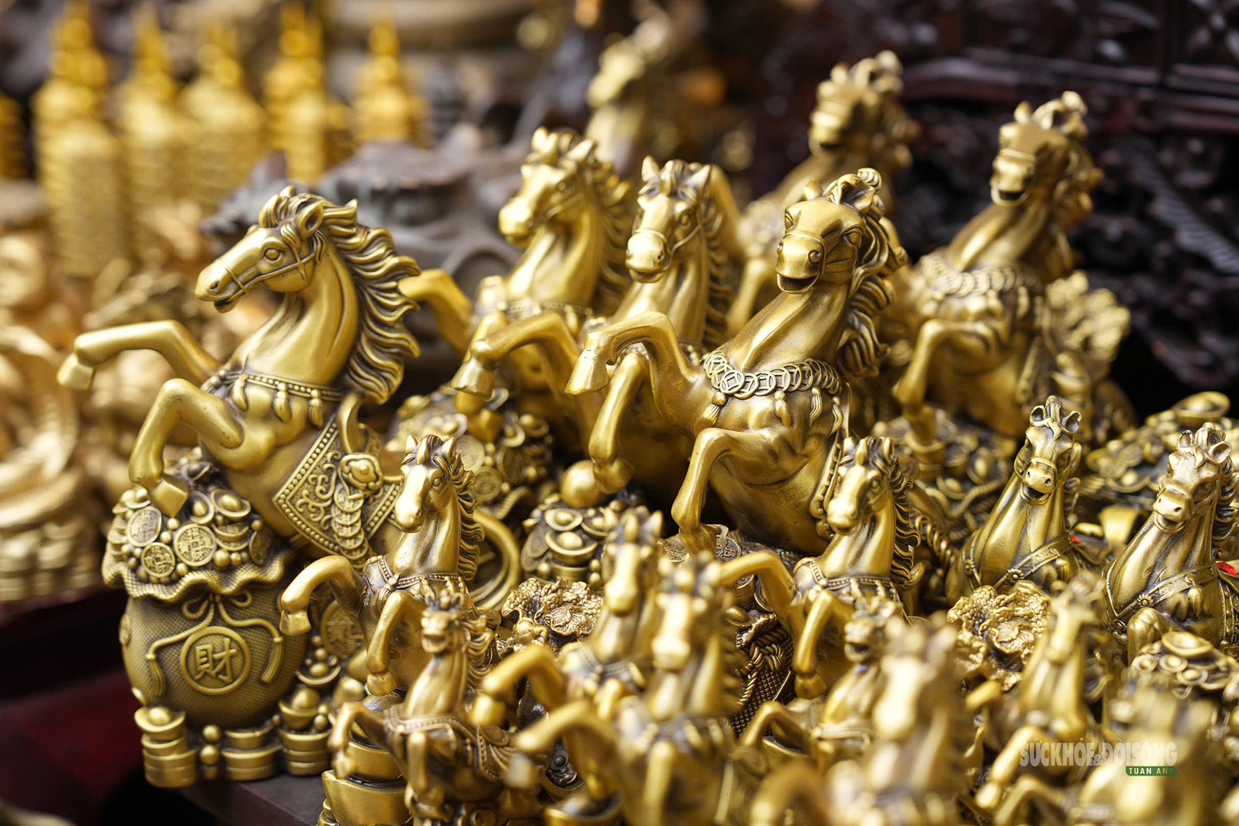 Chợ hoa Hàng Lược mỗi năm chỉ mở một lần hấp dẫn khách quốc tế- Ảnh 7.