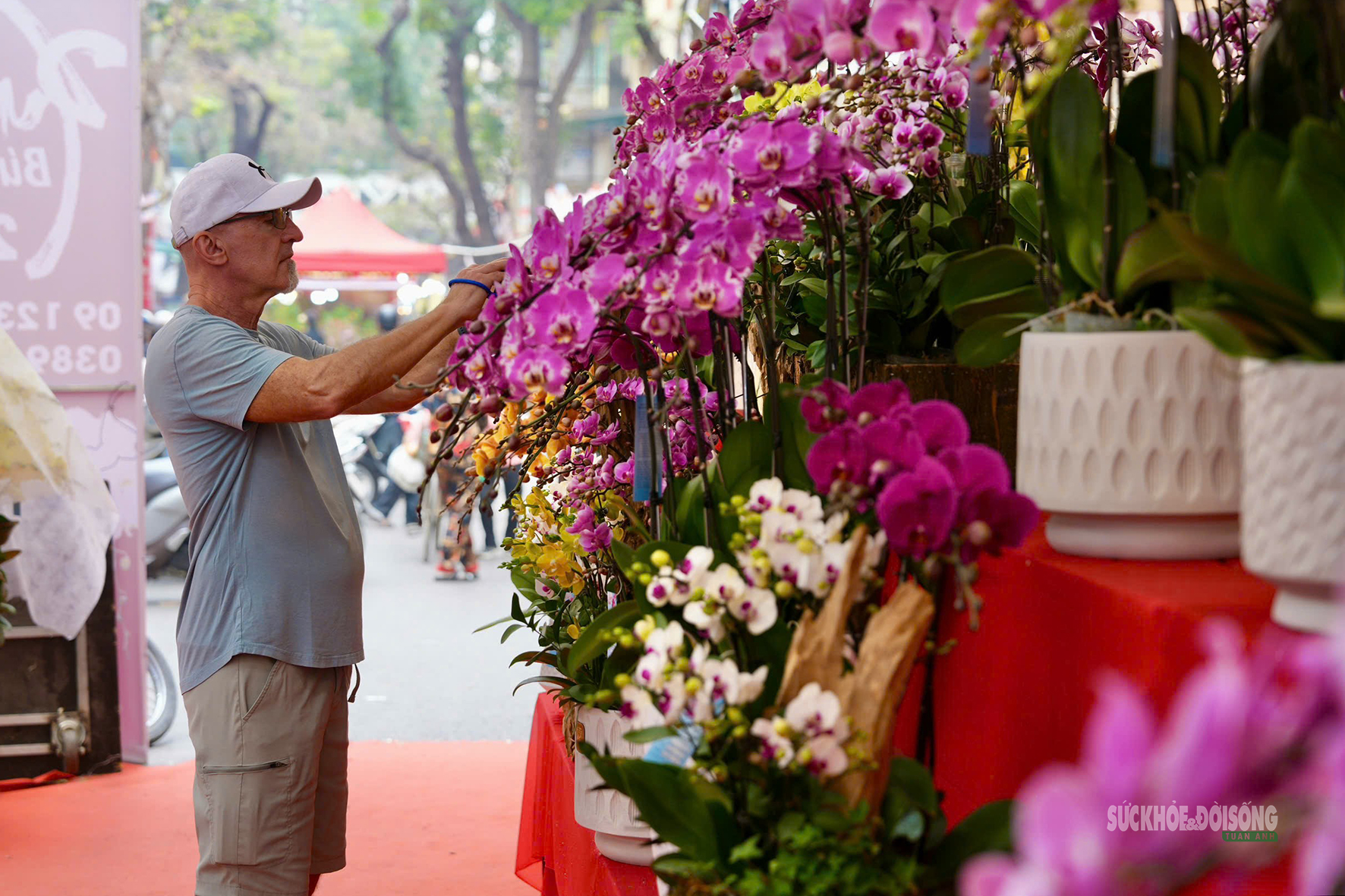 Chợ hoa Hàng Lược mỗi năm chỉ mở một lần hấp dẫn khách quốc tế- Ảnh 4.