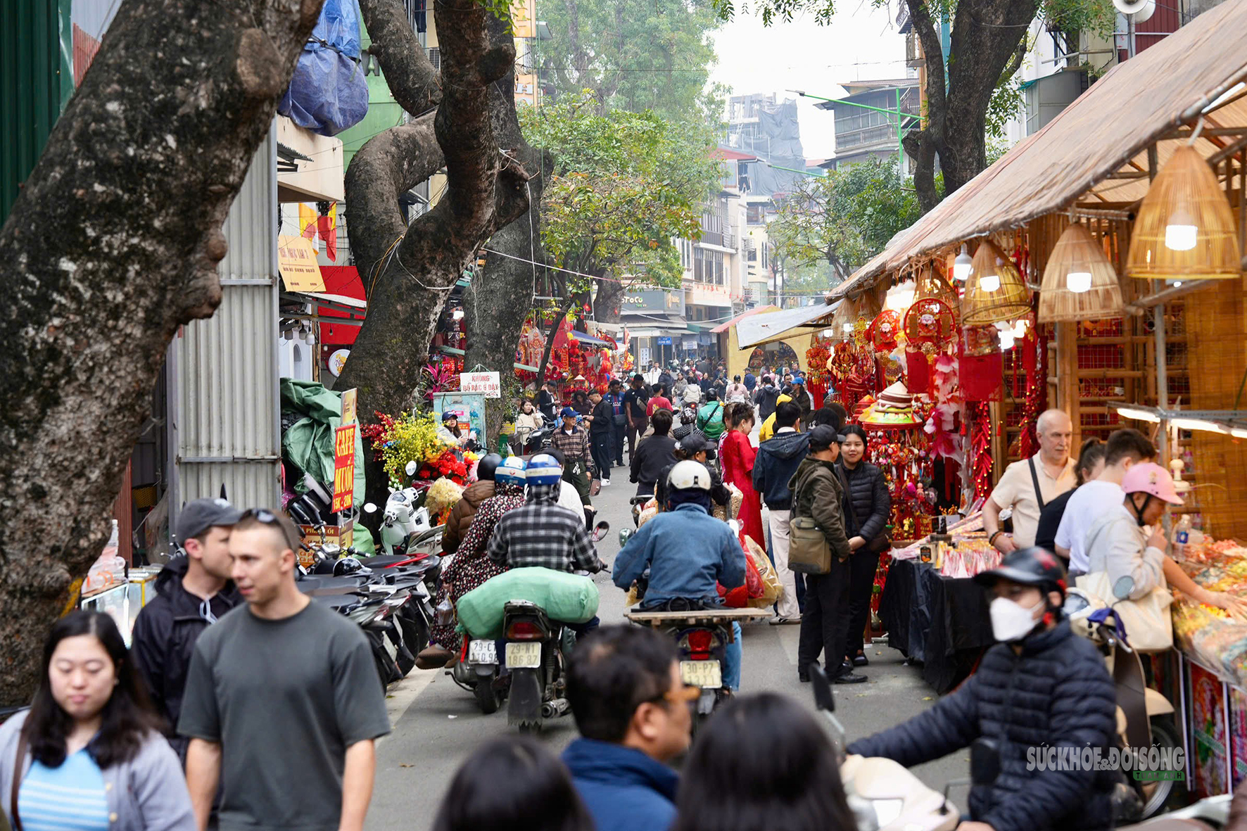 Chợ hoa Hàng Lược mỗi năm chỉ mở một lần hấp dẫn khách quốc tế- Ảnh 10.