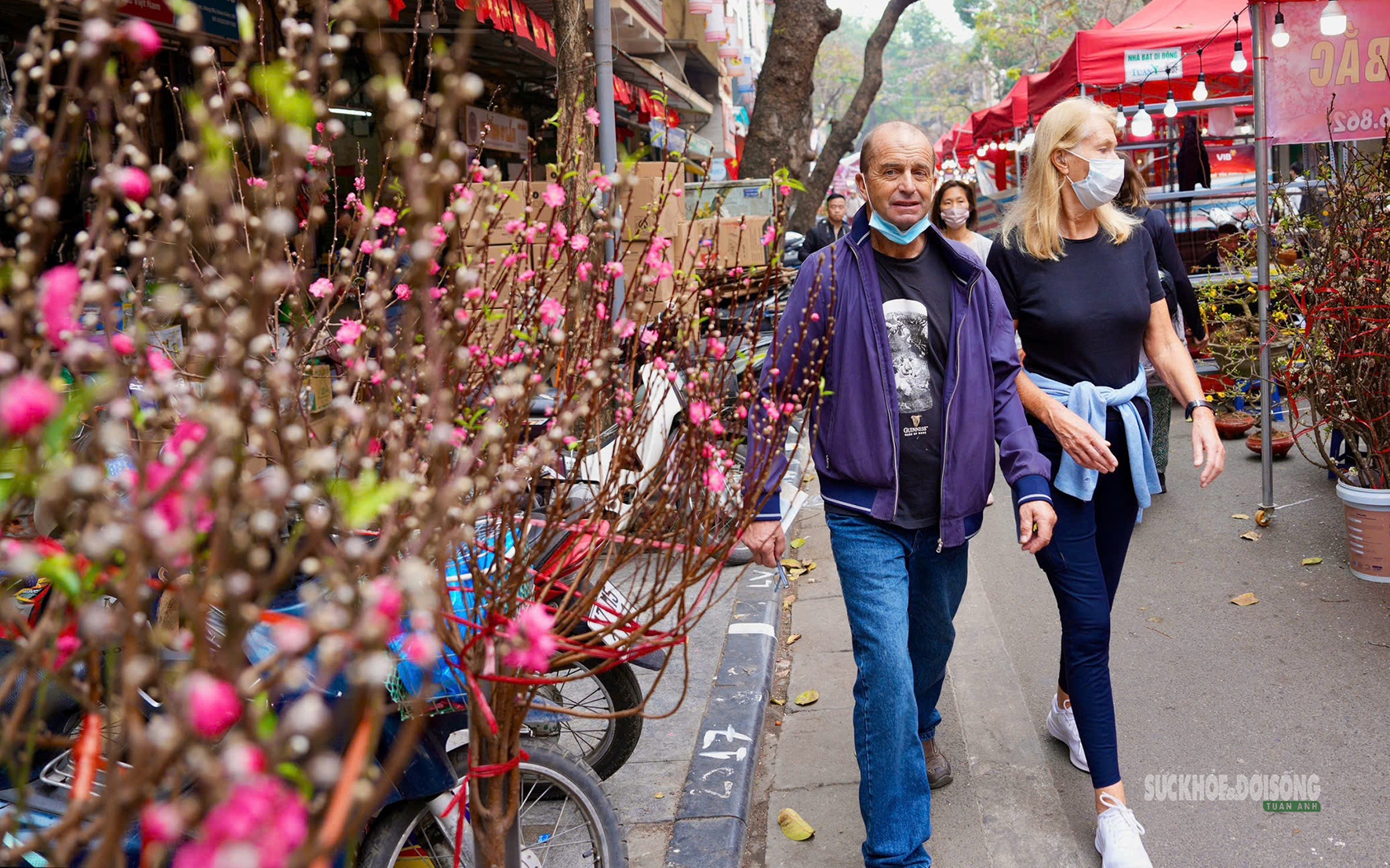 Chợ hoa Tết Tây Hồ: Đường phố thông thoáng, tiểu thương buôn bán trong trật tự- Ảnh 10. Chợ hoa Hàng Lược mỗi năm chỉ mở một lần hấp dẫn khách quốc tế
