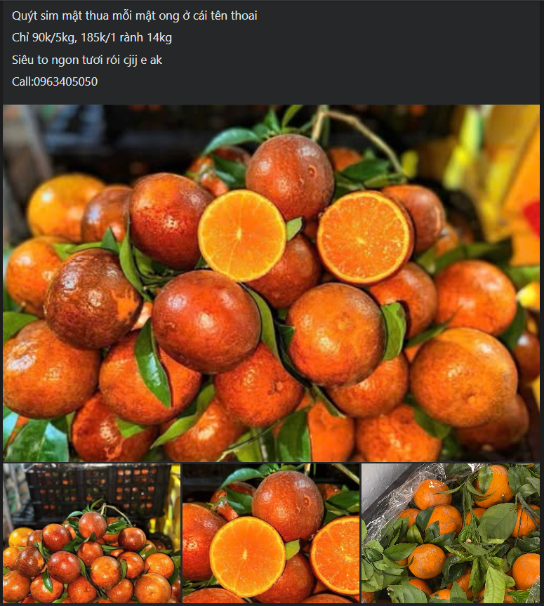 Quýt sim ‘xả’ đầy chợ, giá rẻ chỉ hơn chục nghìn đồng/kg dịp cận Tết Nguyên đán- Ảnh 3.