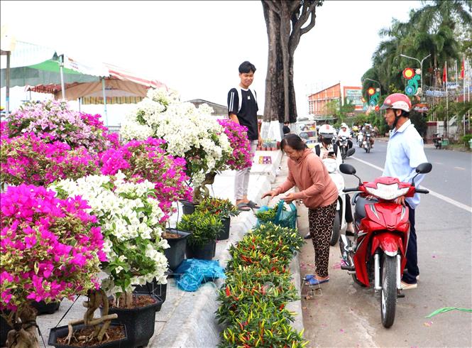 Không bắt buộc có giấy xác nhận khi vận chuyển hoa, kiểng bán Tết- Ảnh 1.