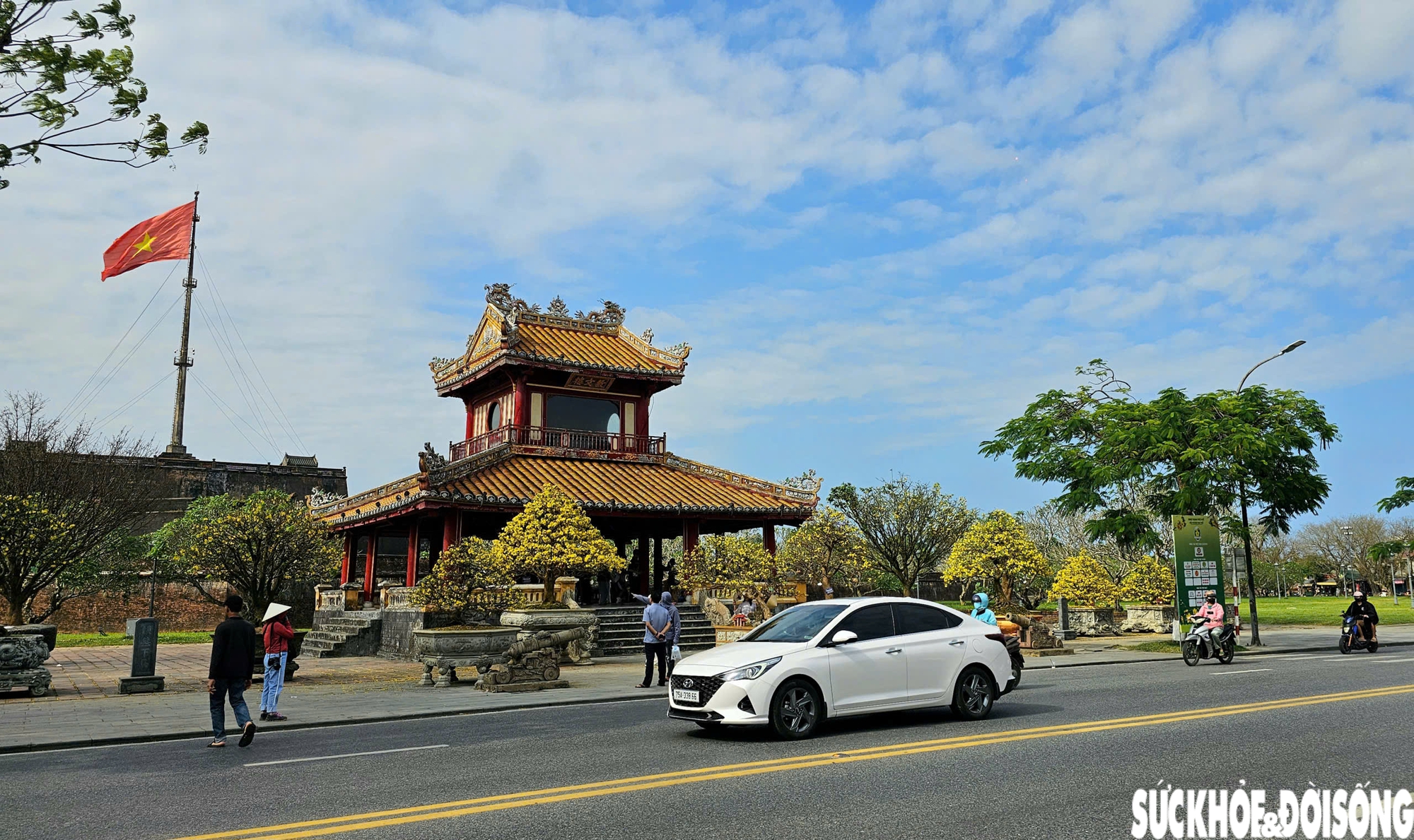 Chiêm ngưỡng dàn mai vàng cổ thụ quý hiếm 'hội tụ' ở Cố đô Huế- Ảnh 1.