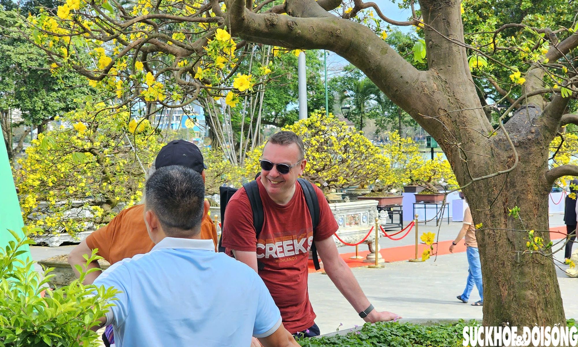 Chiêm ngưỡng dàn mai vàng cổ thụ quý hiếm 'hội tụ' ở Cố đô Huế- Ảnh 10.