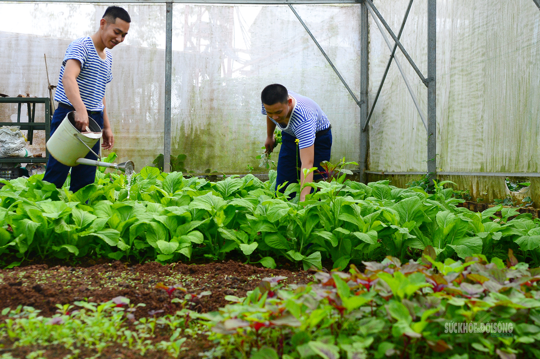 'Công viên xanh' giữa biển trời Tây Nam- Ảnh 9.