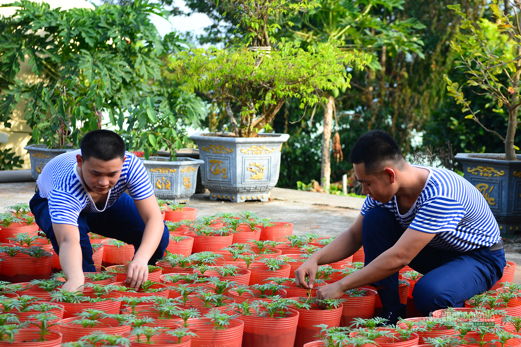 'Công viên xanh' giữa biển trời Tây Nam- Ảnh 3.