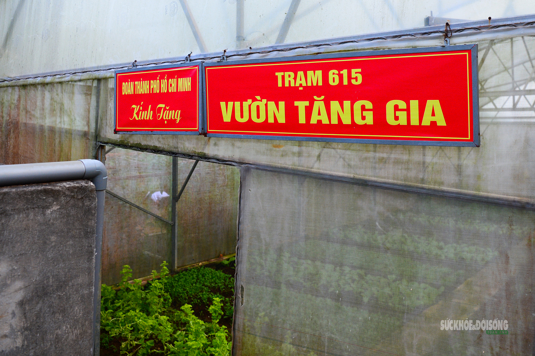 'Công viên xanh' giữa biển trời Tây Nam- Ảnh 4.