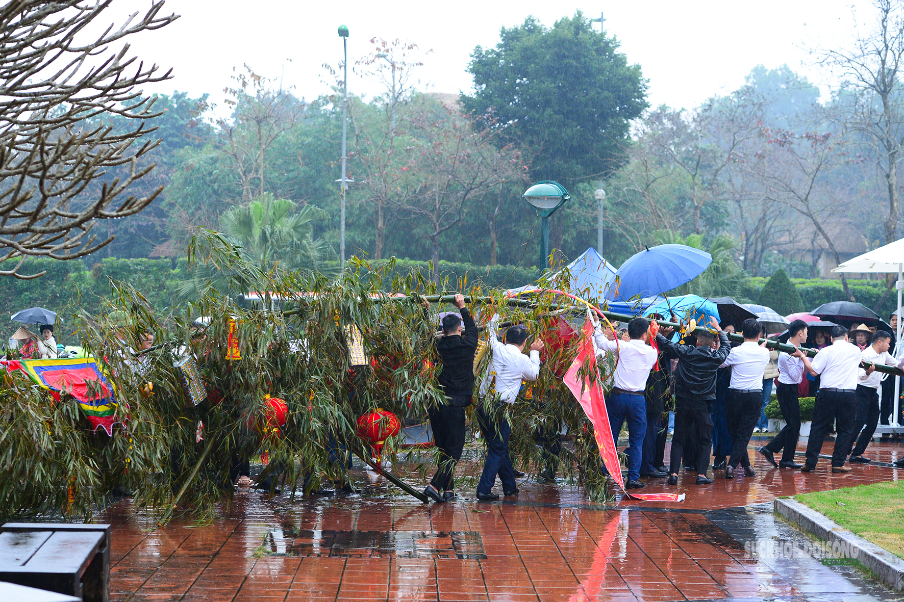 Dựng cây nêu ngày Tết - đánh thức hồn thiêng mùa xuân- Ảnh 2.