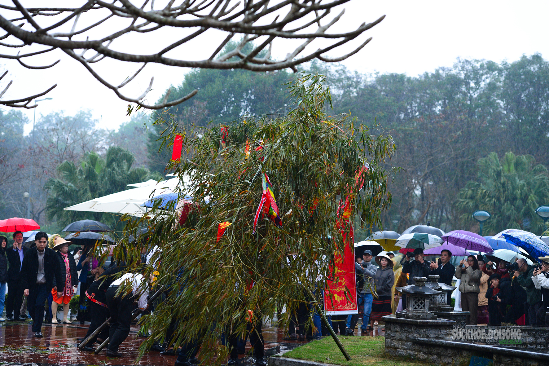 Dựng cây nêu ngày Tết - đánh thức hồn thiêng mùa xuân- Ảnh 5.