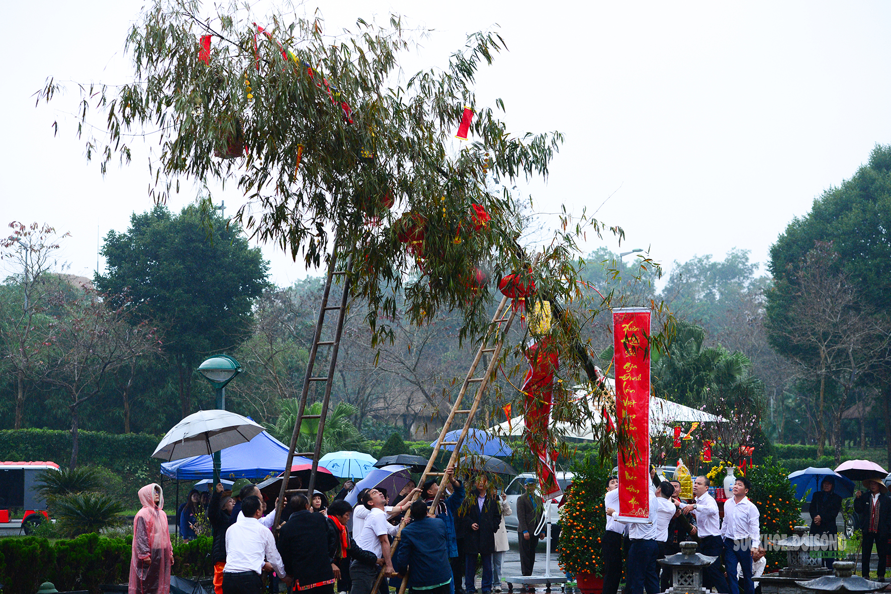 Dựng cây nêu ngày Tết - đánh thức hồn thiêng mùa xuân- Ảnh 6.