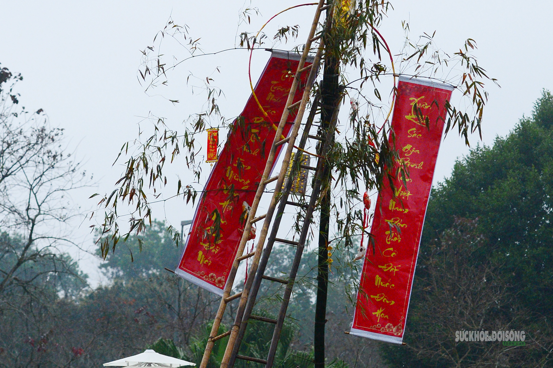 Dựng cây nêu ngày Tết - đánh thức hồn thiêng mùa xuân- Ảnh 4.