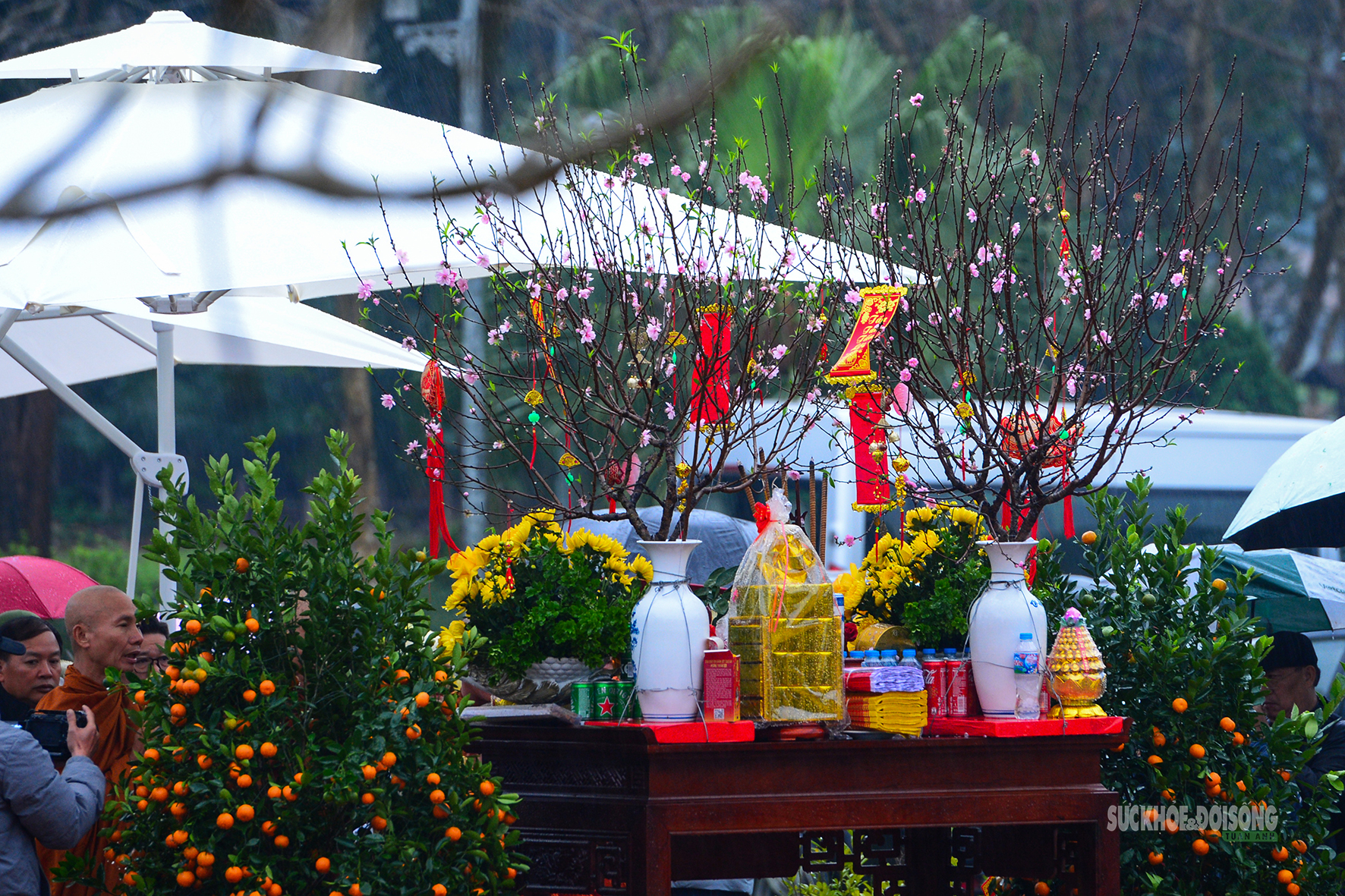 Dựng cây nêu ngày Tết - đánh thức hồn thiêng mùa xuân- Ảnh 1.