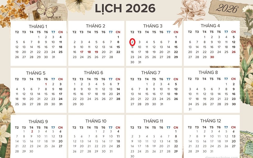 Tử vi 12 con giáp hôm nay 2/3: Mùi bình ổn, Tý hanh thông- Ảnh 3.