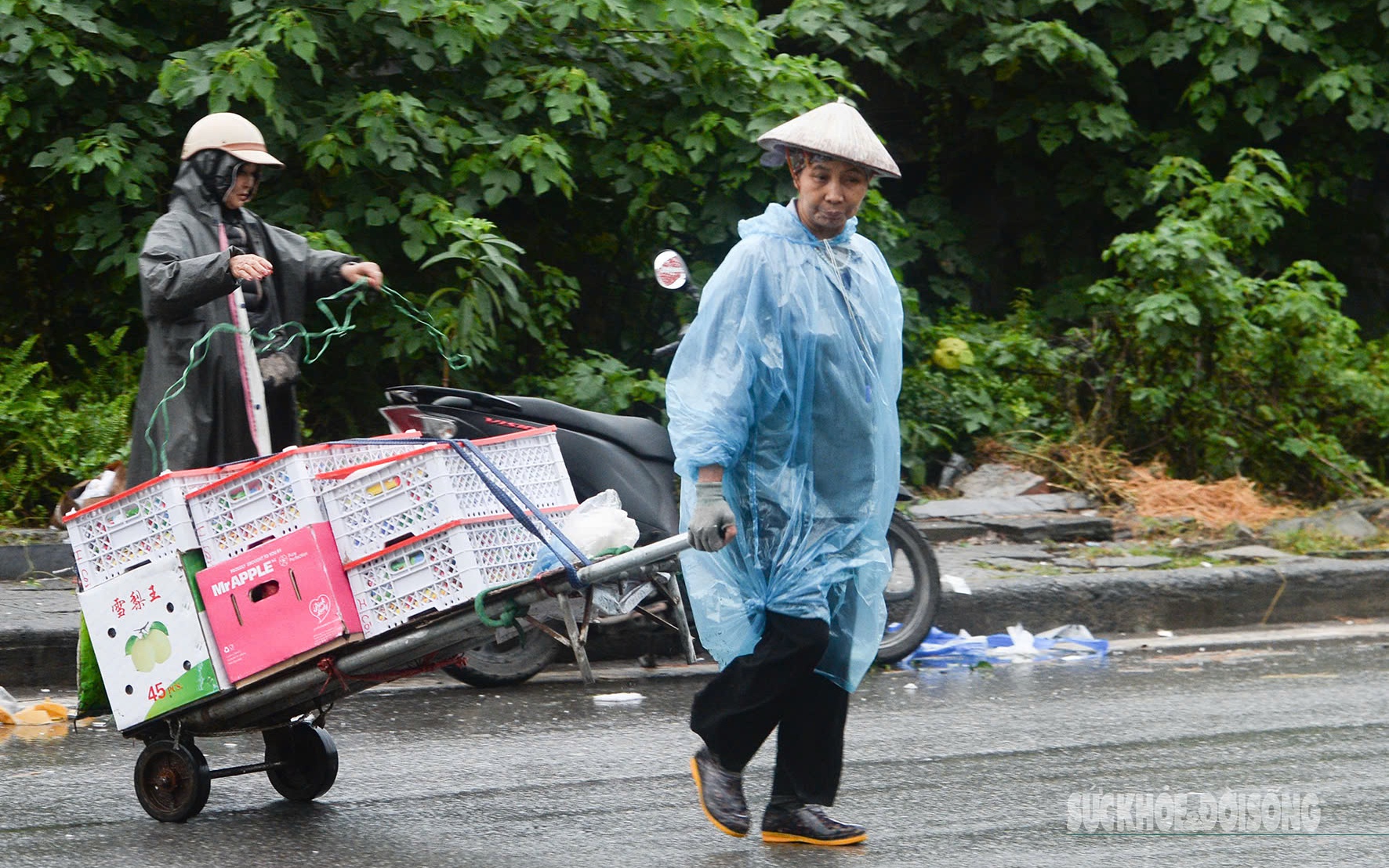 Gió mùa đông bắc đang tiếp tục mở rộng ảnh hưởng xuống phía Nam- Ảnh 2.