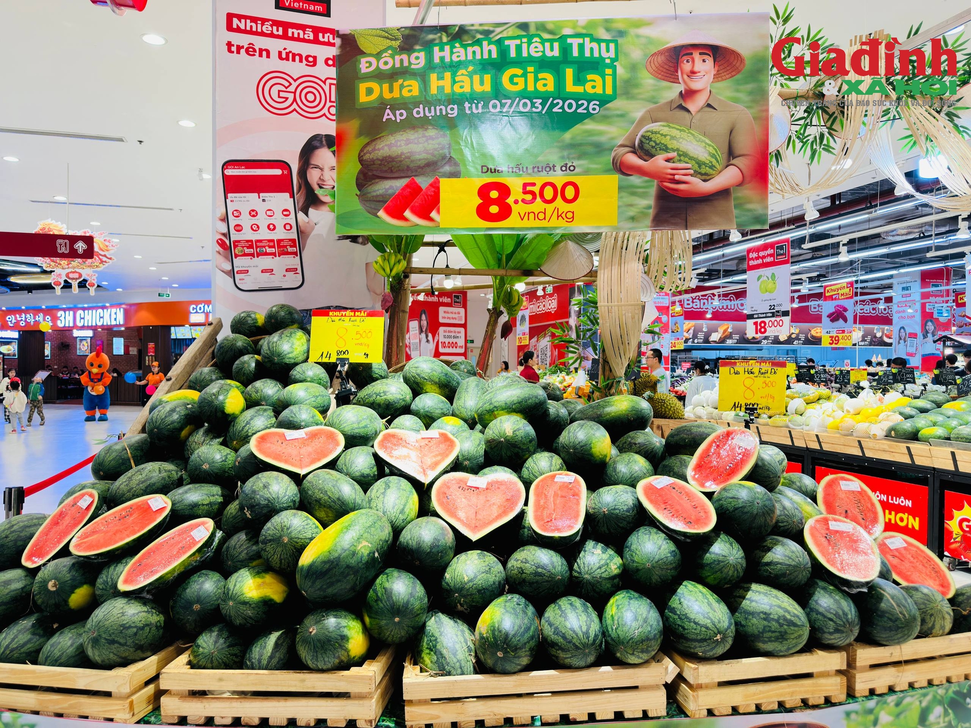 Chỉ 8.500 đồng/kg, vì sao dưa hấu Gia Lai rẻ bất ngờ?- Ảnh 5.