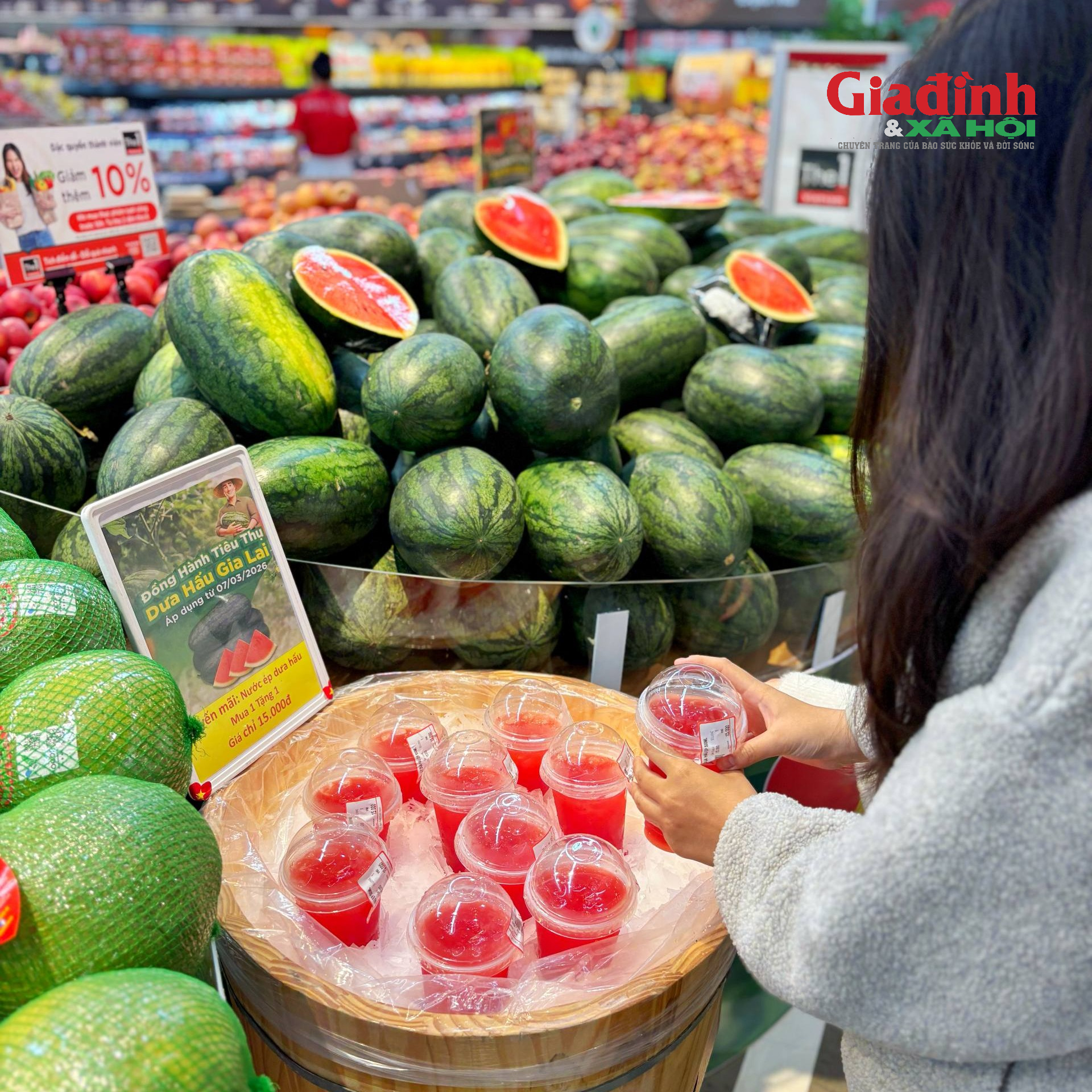 Chỉ 8.500 đồng/kg, vì sao dưa hấu Gia Lai rẻ bất ngờ?- Ảnh 2.