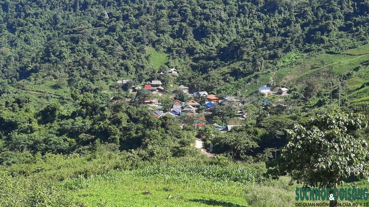 Vòng luẩn quẩn tảo hôn ở miền Tây Nghệ An: Tìm lối thoát khỏi vòng lặp bỏ học, tảo hôn và nghèo đói (Kỳ 3)- Ảnh 1.