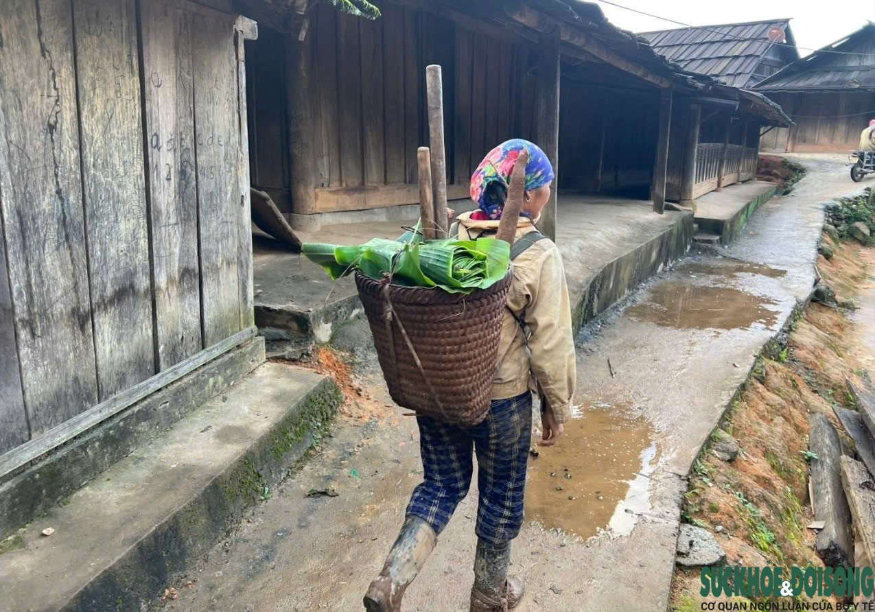 Vòng luẩn quẩn tảo hôn ở miền Tây Nghệ An: Tìm lối thoát khỏi vòng lặp bỏ học, tảo hôn và nghèo đói (Kỳ 3)- Ảnh 3.