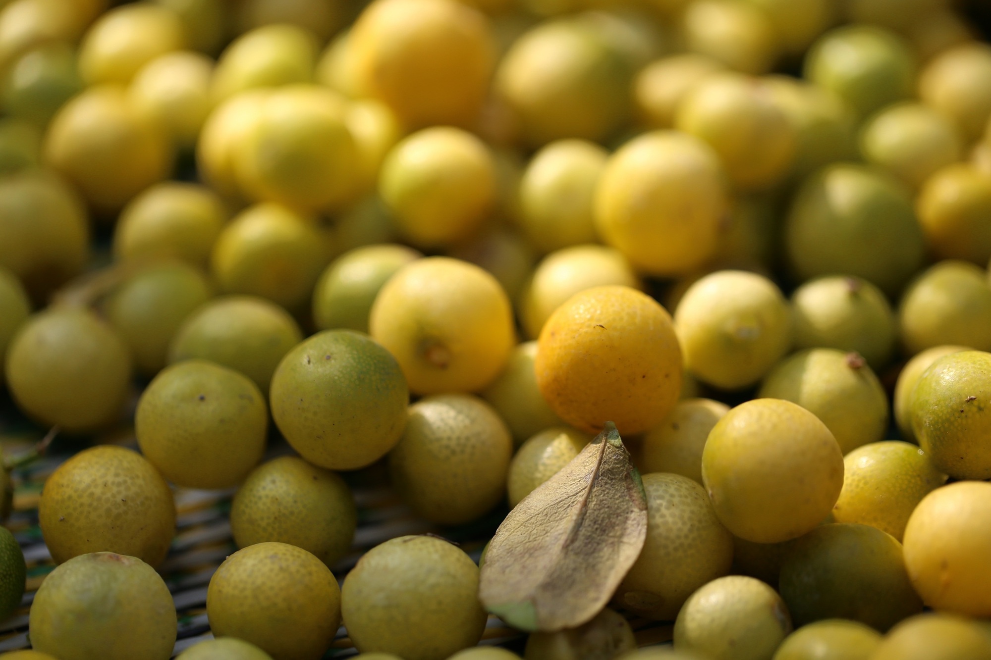 Loại quả nhỏ xíu được trồng khắp Việt Nam, đứng đầu danh sách quả 'tốt nhất thế giới', giá chỉ vài nghìn đồng, ăn cực tốt- Ảnh 1.